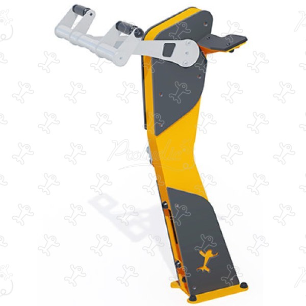 Trening bicepsa J37228® sport i fitness acti’fun acti’fit obraz 3d